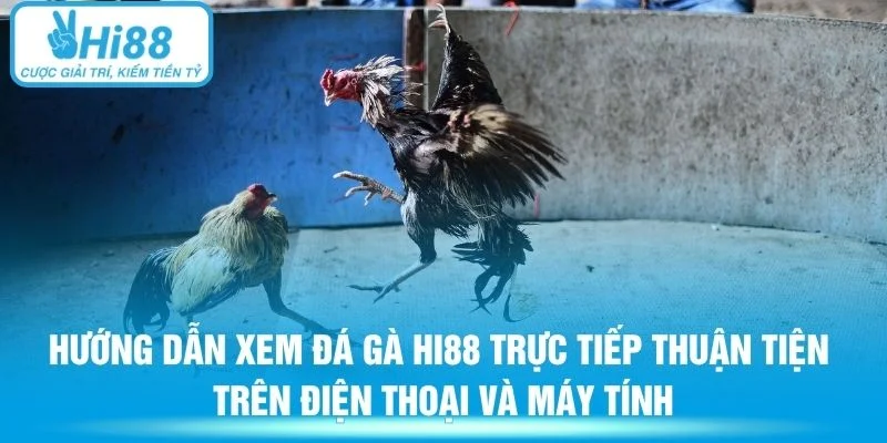 Hướng dẫn xem đá gà Hi88 trực tiếp thuận tiện trên điện thoại và máy tính