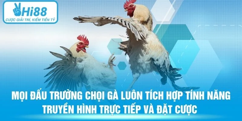 Mọi đấu trường chọi gà luôn tích hợp tính năng truyền hình trực tiếp và đặt cược