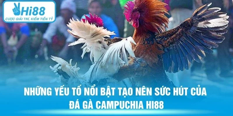Những yếu tố nổi bật tạo nên sức hút của đá gà Campuchia Hi88
