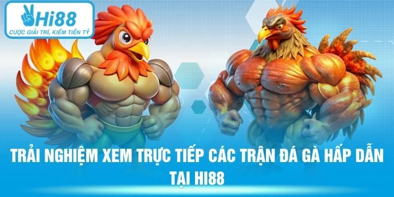Trải nghiệm xem trực tiếp các trận đá gà hấp dẫn tại Hi88