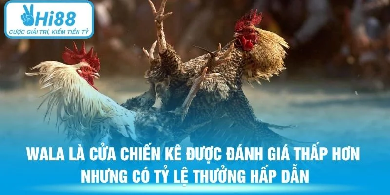 Wala là cửa chiến kê được đánh giá thấp hơn nhưng có tỷ lệ thưởng hấp dẫn